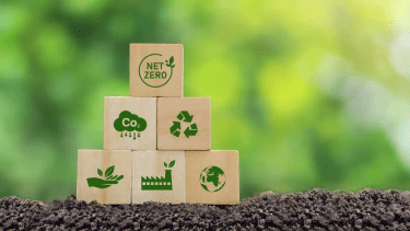 Créditos de carbono, una oportunidad real para Argentina