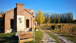 Ruta del vino en Neuquén: las bodegas te invitan a vivir una experiencia única el fin de semana largo