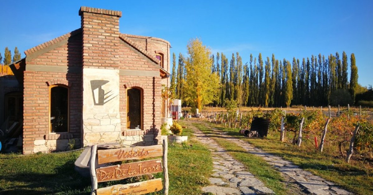 Ruta del vino en Neuquén: las bodegas te invitan a vivir una experiencia única el fin de semana largo