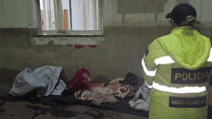 Secuestraron 120 kilos de carne sobre Ruta 250 en Pomona: qué intentó explicar el conductor