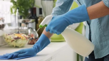 Empleadas domésticas. 