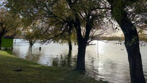 Sudestada implacable y viento en Viedma y Patagones: ¿A 24 horas del impactante fenómeno, cómo sigue la situación?