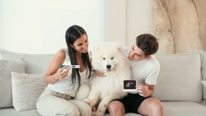 Con fotos de la ecografía, Julián Álvarez y Emilia Ferrero hicieron un tierno posteo para contar que serán papás 