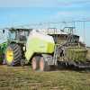 Imagen de La mayor productora de alfalfa de la Patagonia: cómo funciona la cadena de un cultivo de exportación