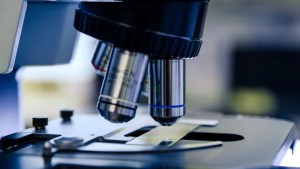 Hallazgo de un cuerpo al sur del río Negro en Roca: realizaron la autopsia y esperan análisis genético