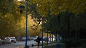 El otoño se instala en el Alto Valle: sábado fresco y de mucho viento, ¿qué pasa con la lluvia?
