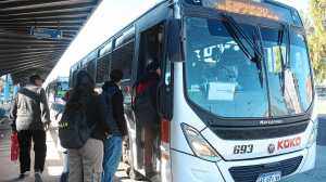 ¿Cómo funcionará el colectivo KoKo en el Alto Valle? Los horarios para viajar entre Regina y Neuquén este lunes feriado