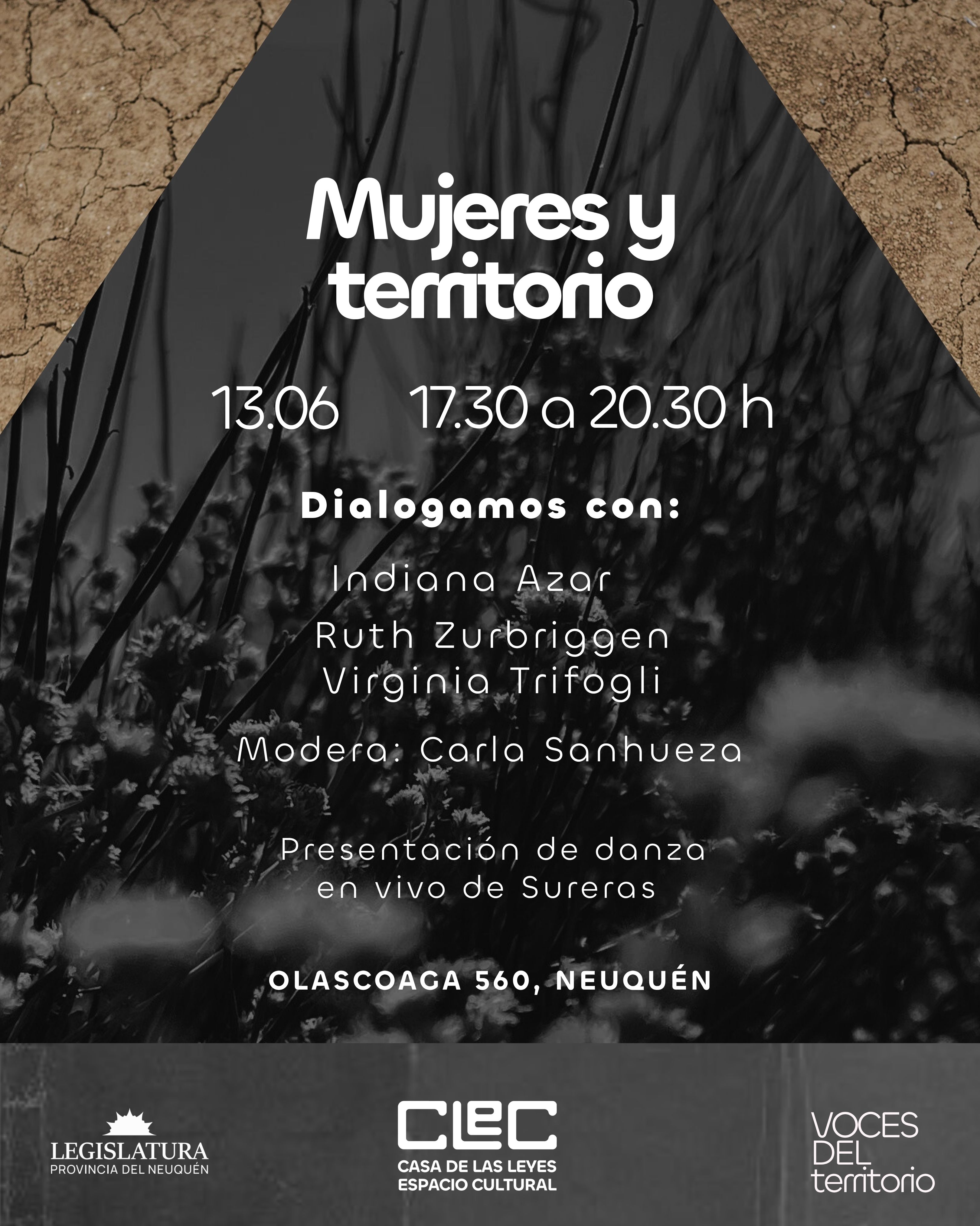 Voces del territorio, diálogos en casa.  Mujeres y territorio
