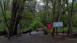 La Justicia emplazó al gobierno rionegrino para que cumpla con el ordenamiento de bosques