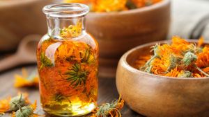 Botón de oro: la flor que alivia la piel, mejora la digestión y protege de forma natural