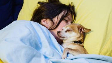 Dormir con un perro no es una moda nueva, es una práctica ancestral que sigue vigente. Lo importante es que sea una elección informada, equilibrada y cómoda para ambos.

