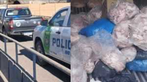 Decomisaron más de media tonelada de carne en un operativo en Roca y Allen: «productos en mal estado» y otras infracciones