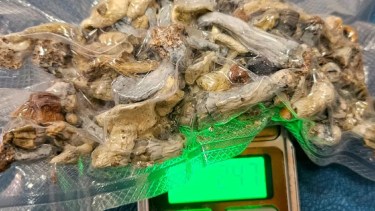 El operativo fue parte de una causa por microtráfico y amenazas.
