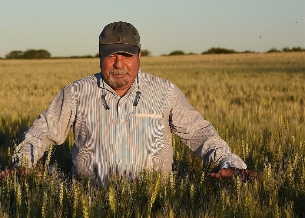 Jorge Mazzieri en un trigal en Río Negro. Foto: archivo Juan Thomes.