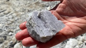 Litio en Río Negro: avances en la búsqueda de reservas en la zona de Ramos Mexía