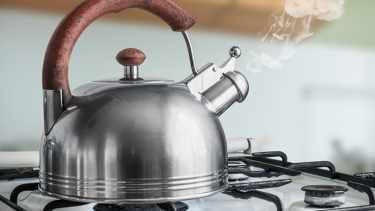 Pava de acero inoxidable.-