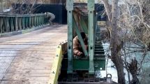 Imagen de Un puente esperado: adjudicaron la obra para llegar a una isla del río Neuquén aunque haya crecidas