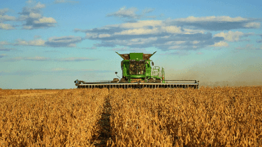 El gobierno de Javier Milei confirmó la suba de retenciones a la soja y el maíz desde julio