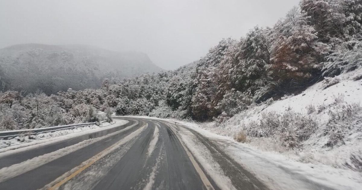 Estado de las Rutas en Neuquén y Río Negro tras el Temporal de Nieve