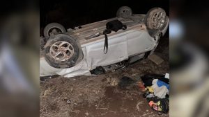 Otro grave vuelco en la Ruta 7 por animales sueltos reactivó el reclamo de vecinos de Añelo: «Nadie se hace cargo»