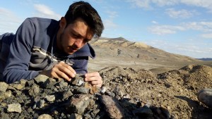 Gigantes de la Patagonia: descubren cómo era el cerebro de un dinosaurio que vivió hace 179 millones de años