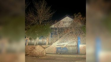 Video | El intenso temporal de viento complica al norte neuquino: voladura de techos, caída de árboles, cortes de luz y más
