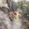 Imagen de Río Negro profesionaliza la lucha contra incendios con una tecnicatura inédita en el país