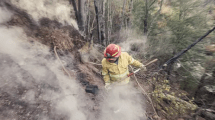 Imagen de Río Negro profesionaliza la lucha contra incendios con una tecnicatura inédita en el país
