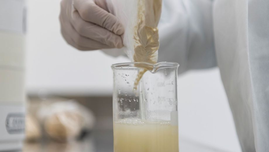 Este suplemento no tiene proteínas animales, de modo que es es apto para veganos. Foto: gentileza