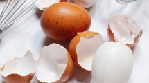 Imagen de ¿Para qué sirve guardar las cáscaras de huevo? El secreto que pocos conocen