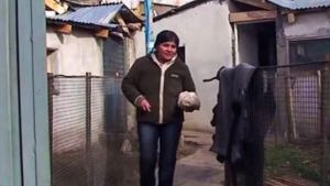 Guía para visitar a doña Petrona en el norte neuquino: precios y cómo llegar desde Neuquén