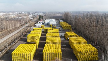 En qué parte del Alto Valle de Río Negro se produce el aguardiente de peras Williams que conquistó a Europa