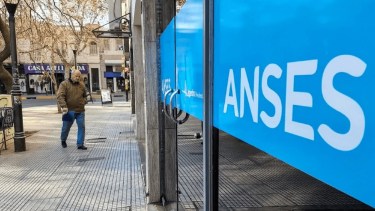 Anses en julio 2025. 