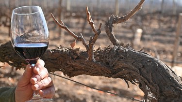 Citrato de cobre y bicarbonato de potasio en vinos: autorizan su uso y opinan las bodegas