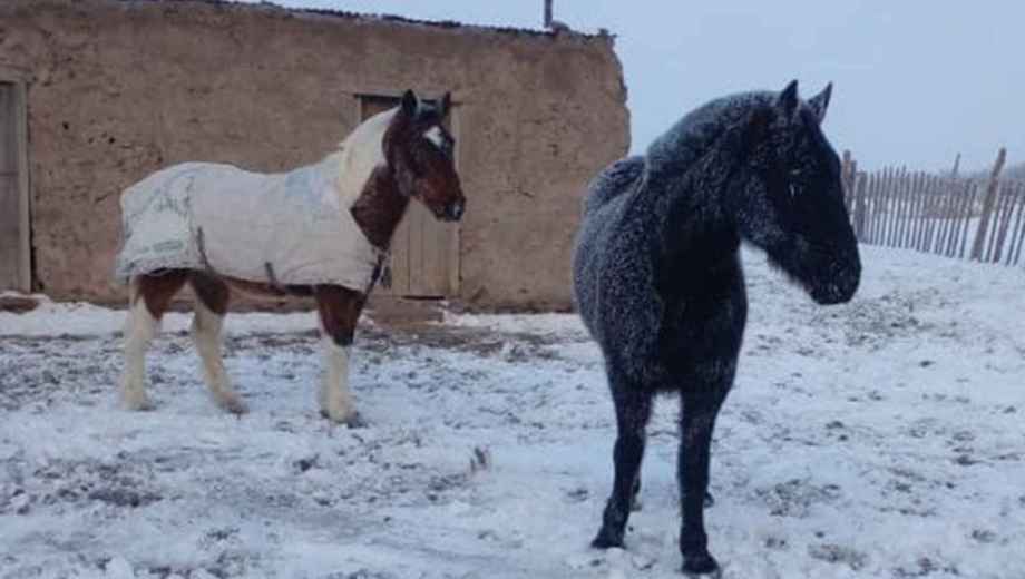 El Servicio Meteorológico Nacional anunció "lluvias y nevadas" para este jueves por la noche en la localidad. Foto: gentileza.