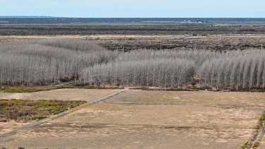 Catriel, la primera ciudad petrolera de Río Negro, mira al agro ante su crisis laboral