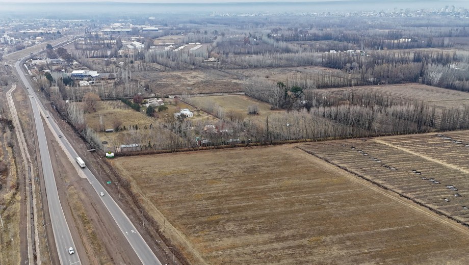 La zona entre los puentes de Cipolletti y Neuquén, del lado de Río Negro. (Foto: Florencia Salto)