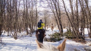 San Martín de los Andes, lanzó el primer sitio web de turismo accesible, más vuelos y más inclusión