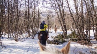 San Martín de los Andes, lanzó el primer sitio web de turismo accesible, más vuelos y más inclusión