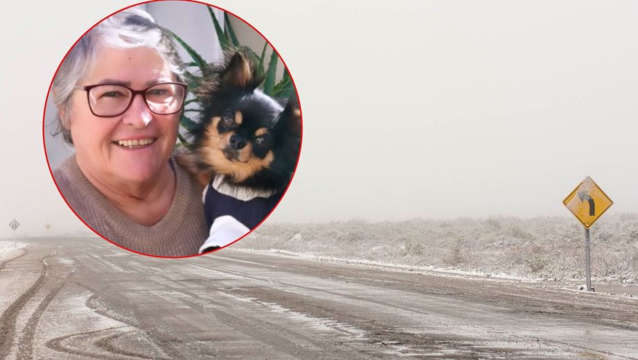 "Si alguien lo vio puede avisar, ofrecemos recompensa para recuperarlo", dijeron rescatistas. 