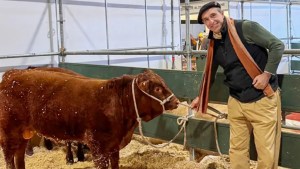 El «gaucho de Wall Street» que trajo por primera vez una raza bovina a la Rural de Palermo