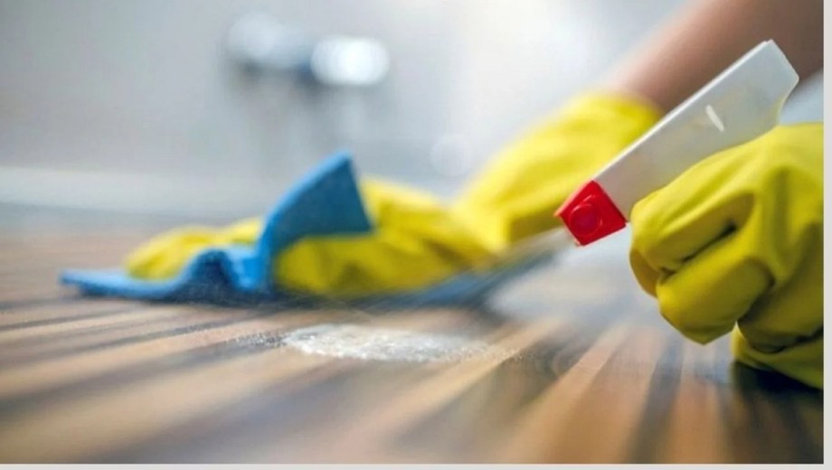 Empleadas domésticas. 