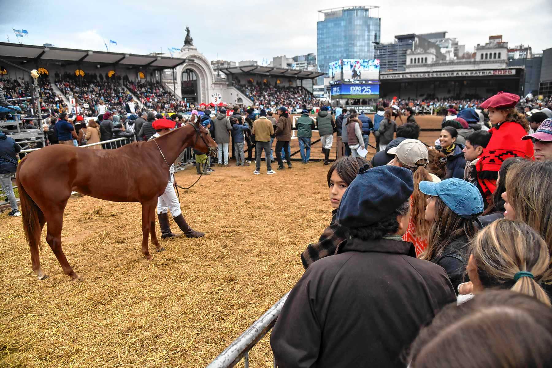 Mirá cómo es un día en la Rural de Palermo 2025 en 25 imágenes - Diario ...