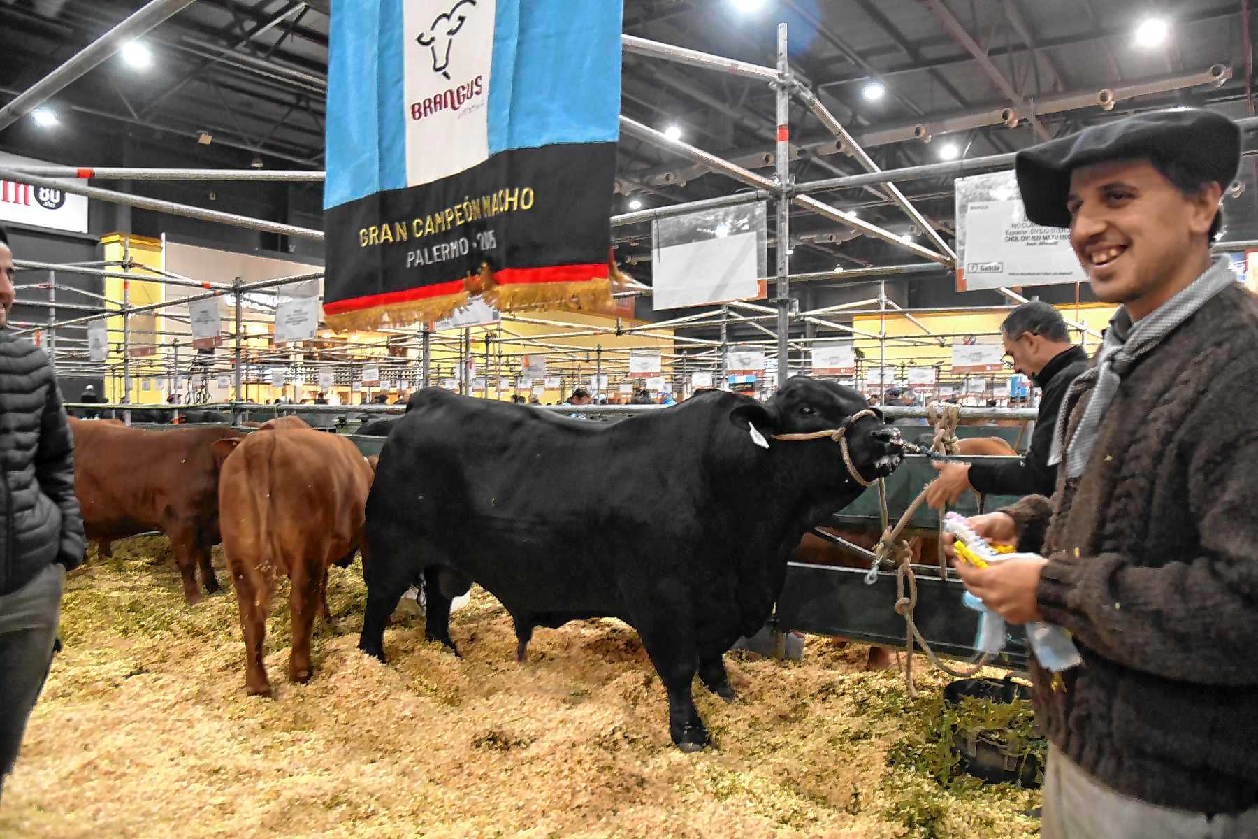 Mirá cómo es un día en la Rural de Palermo 2025 en 25 imágenes - Diario ...
