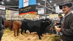 Mirá cómo es un día en la Rural de Palermo 2025 en 25 imágenes