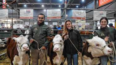 Muchas cabañas participan por primera vez llevando animales a la Rural de Palermo. Foto: Enrique García Medina.