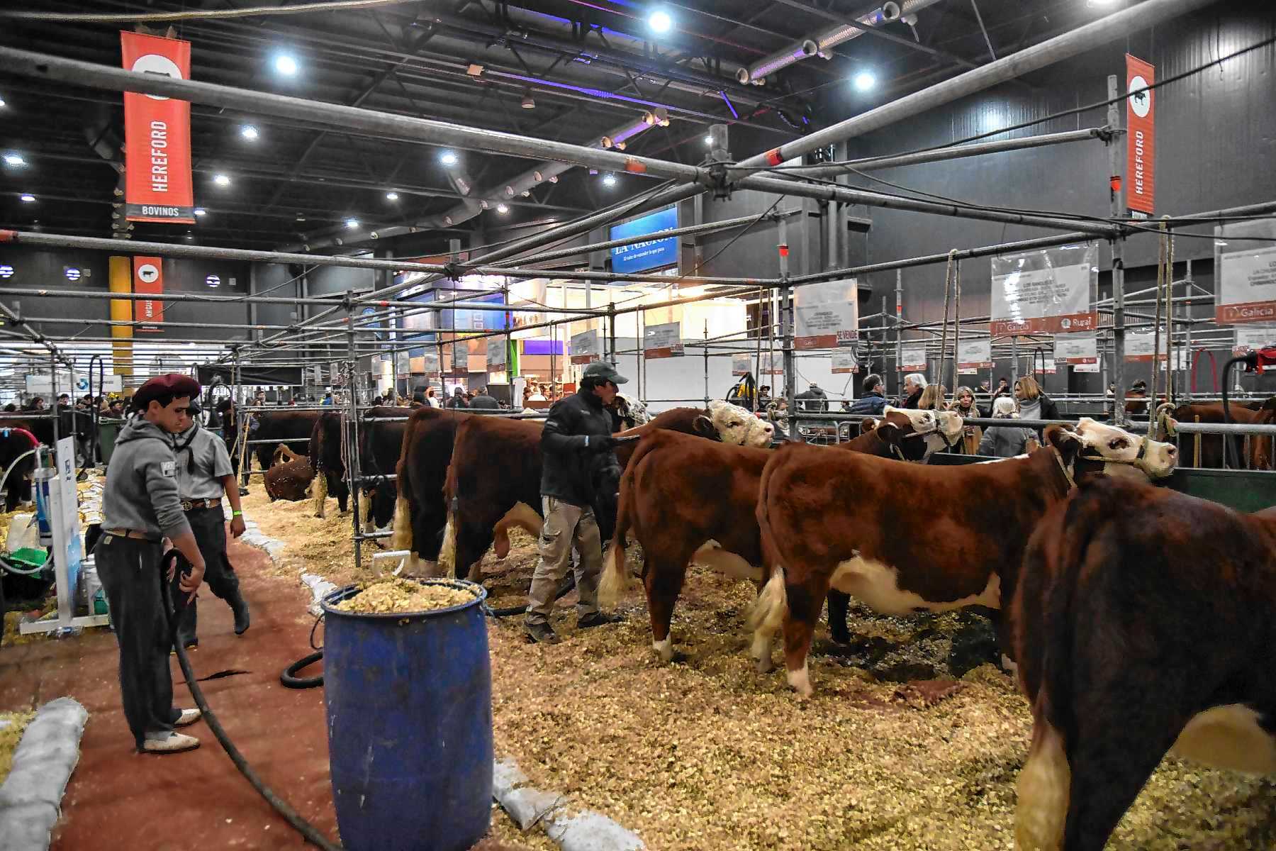 Mirá cómo es un día en la Rural de Palermo 2025 en 25 imágenes - Diario ...