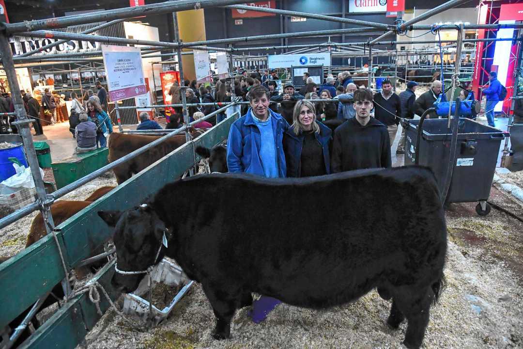 Julián Lavayén, de cabaña La Laguna de General Conesa, presente en la Expo Rural de Palermo. Foto: Enrique García Medina.