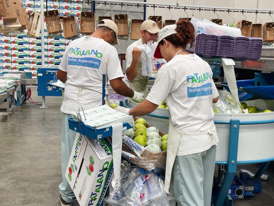 Antes de producir, los Patalano se dedicaron muchos años a la comercialización.