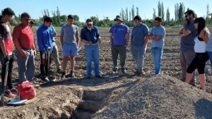 Rehabilitación de suelos salino-sódicos en Valle Medio